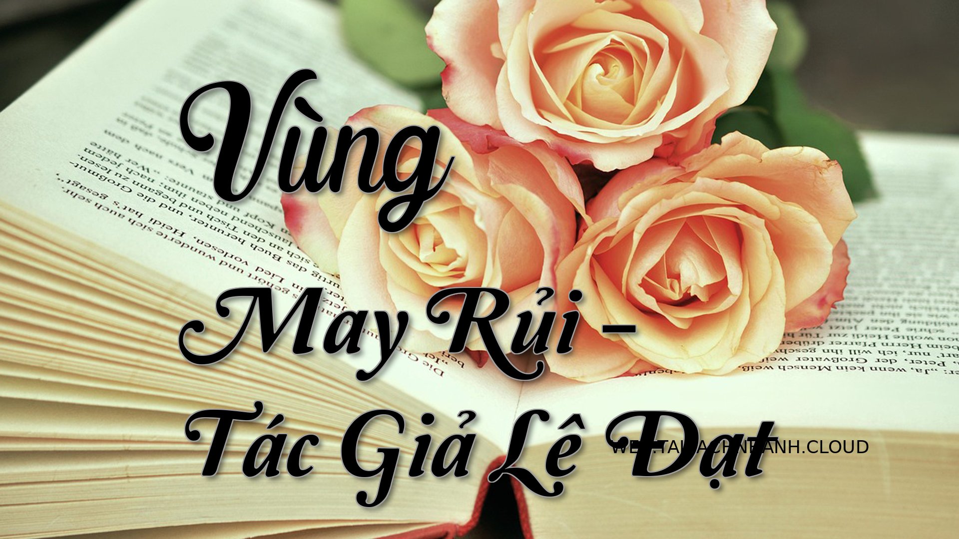 Cover Vung May Rui.jpg