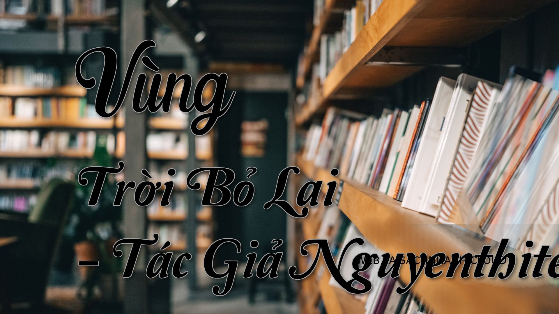 Cover Vung Troi Bo Lai.jpg