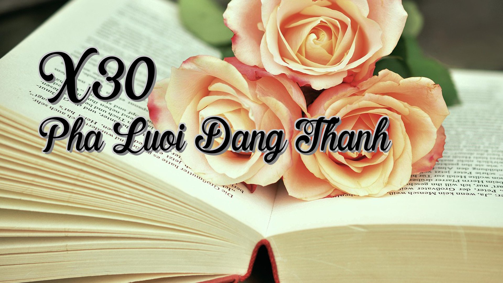 Cover image for X30 Pha Luoi Dang Thanh