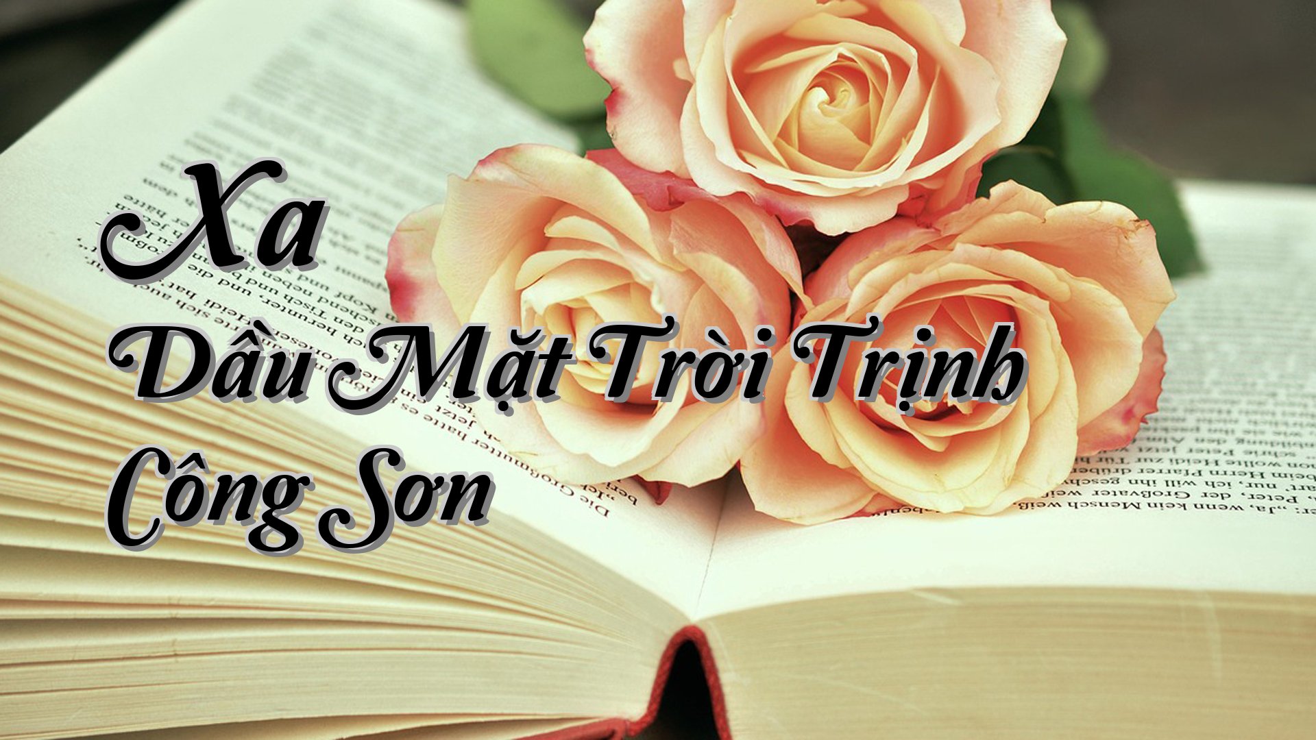 cover-Xa Dầu Mặt Trời Trịnh Công Sơn