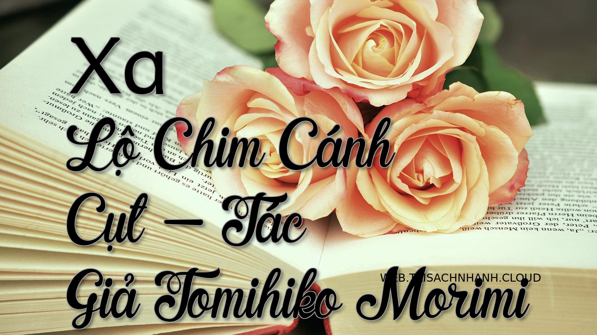 Cover Xa Lo Chim Canh Cut.jpg