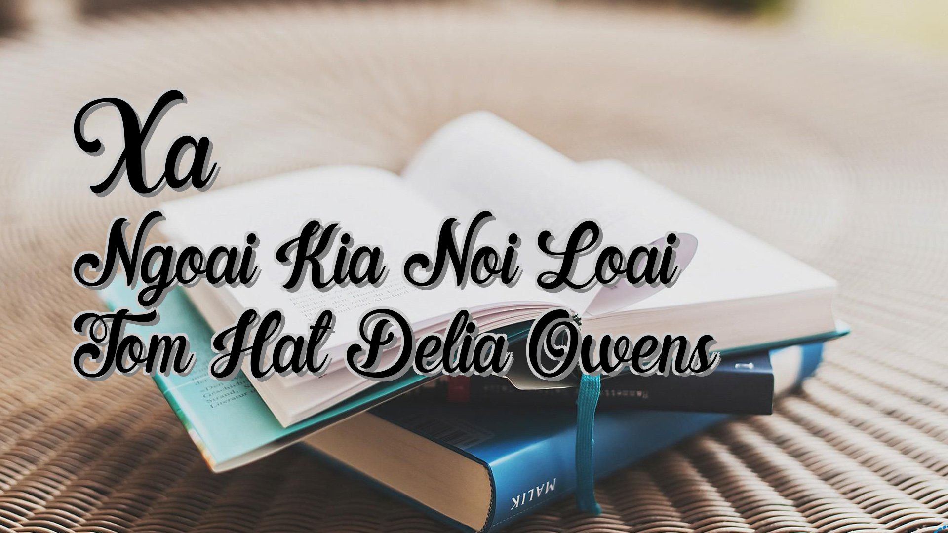 Cover image for Xa Ngoai Kia Noi Loai Tom Hat Delia Owens