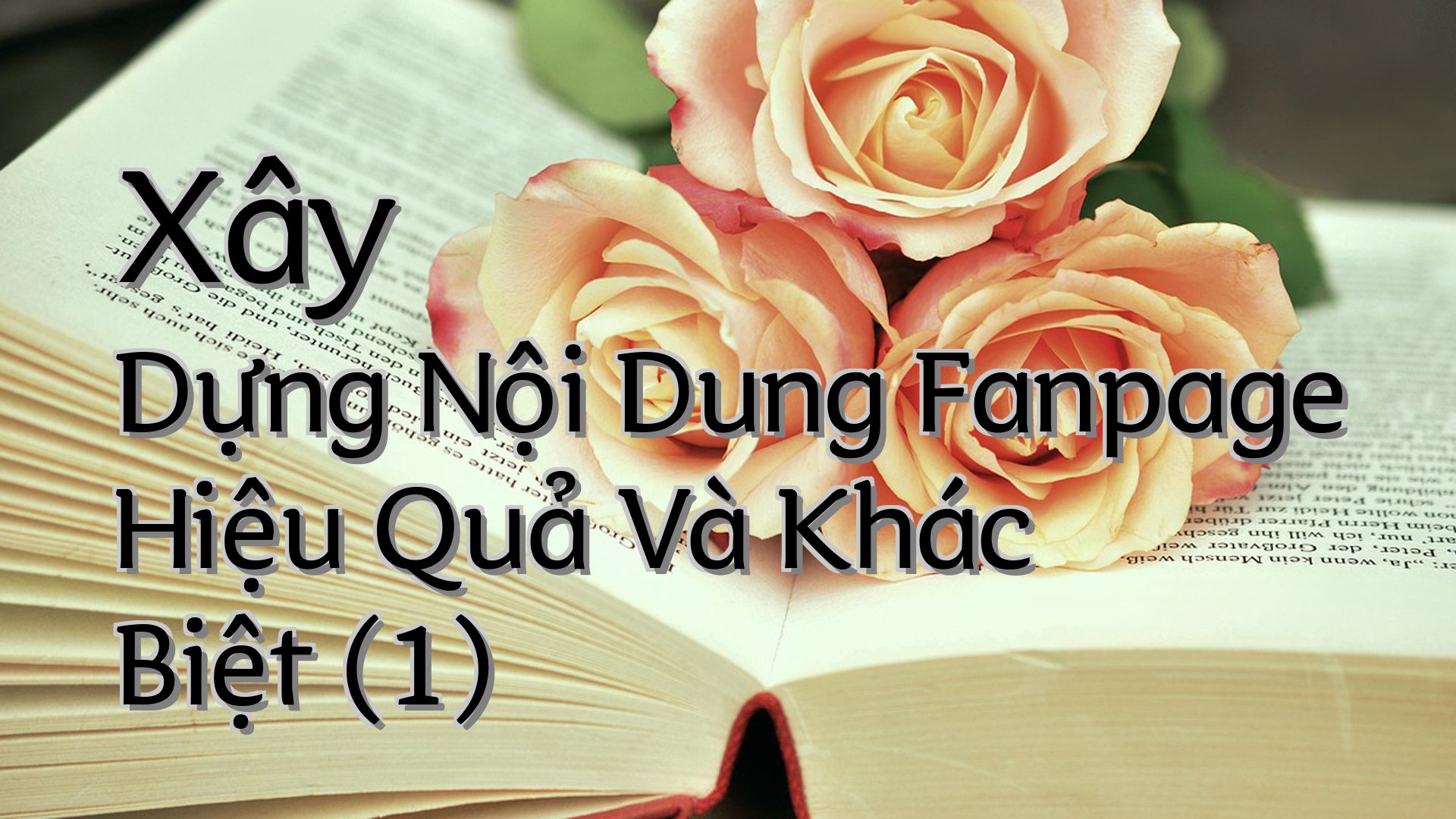cover-Xây Dựng Nội Dung Fanpage Hiệu Quả Và Khác Biệt (1)