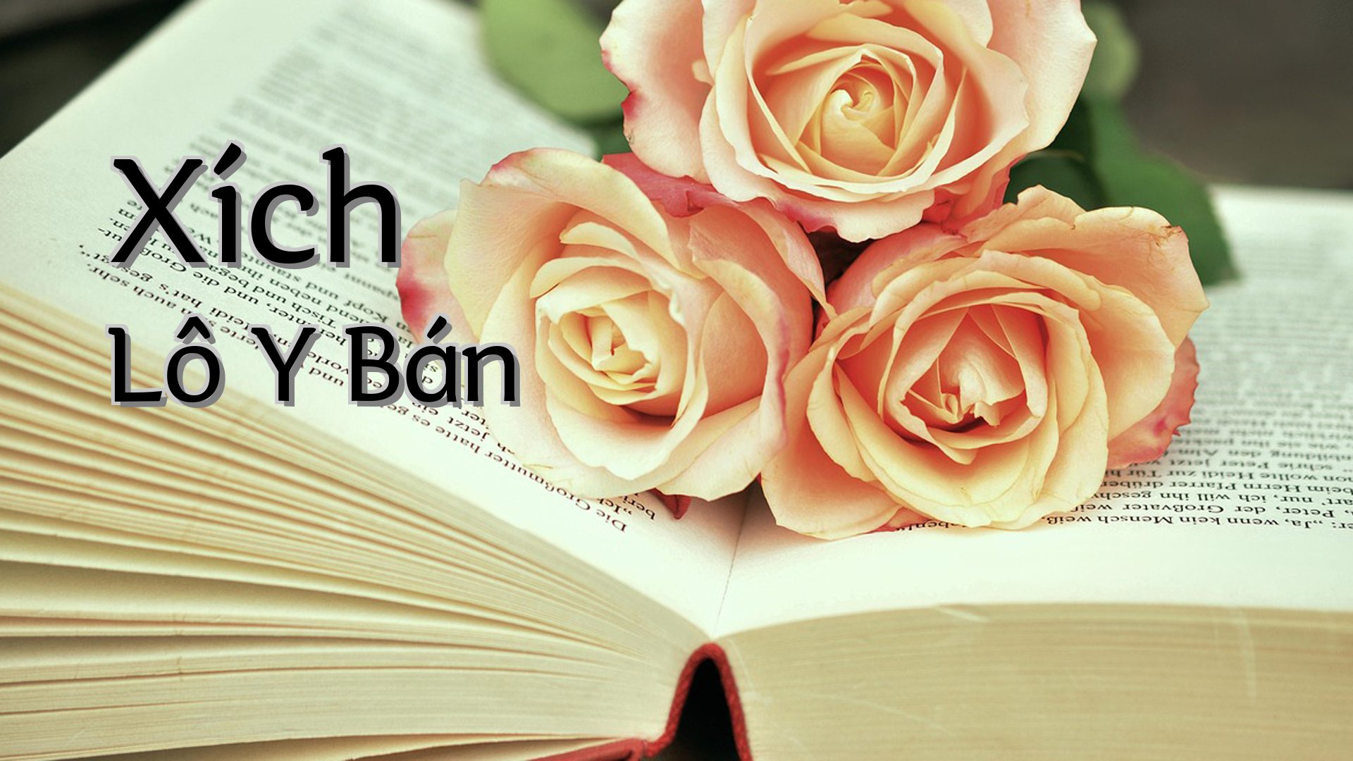 cover-Xích Lô Y Bán