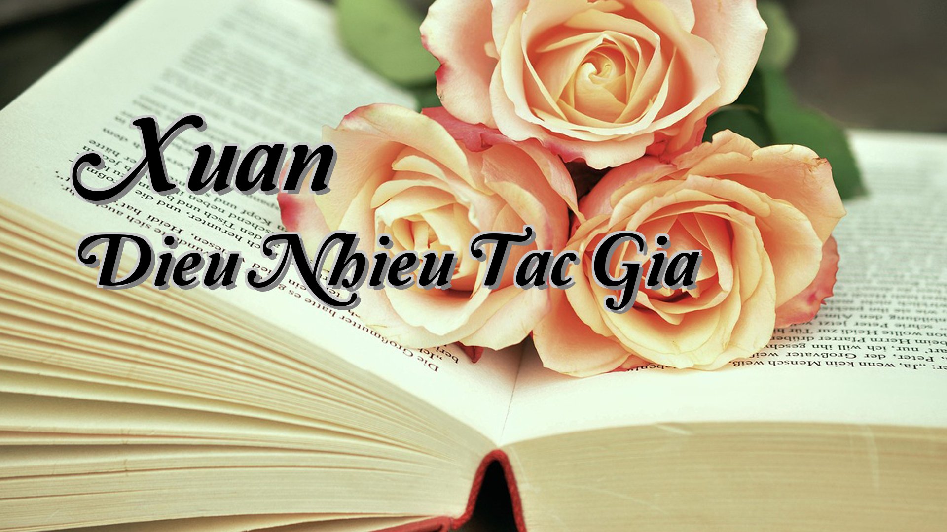 Cover image for Xuan Dieu Nhieu Tac Gia