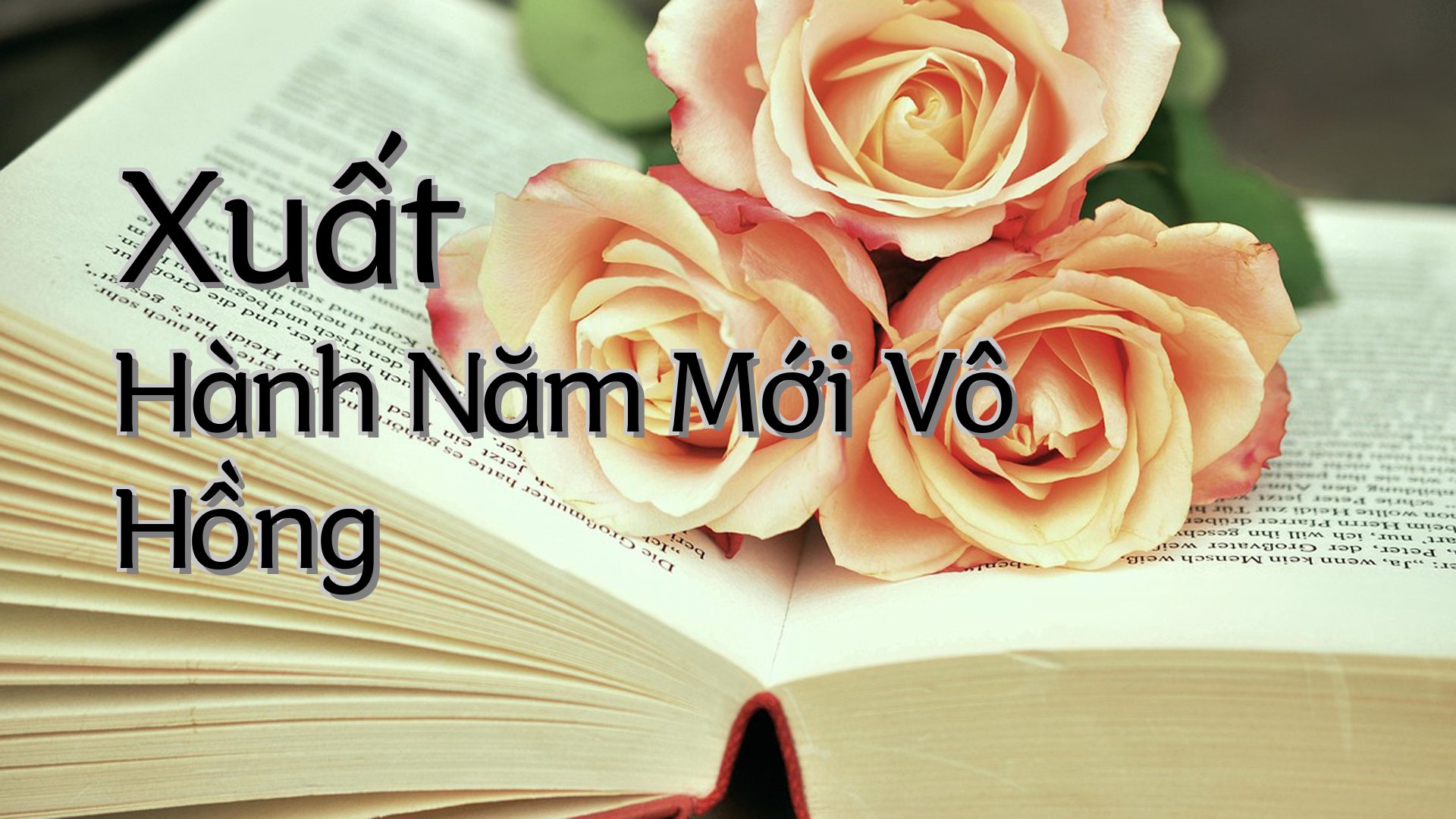 cover-Xuất Hành Năm Mới Vô Hồng