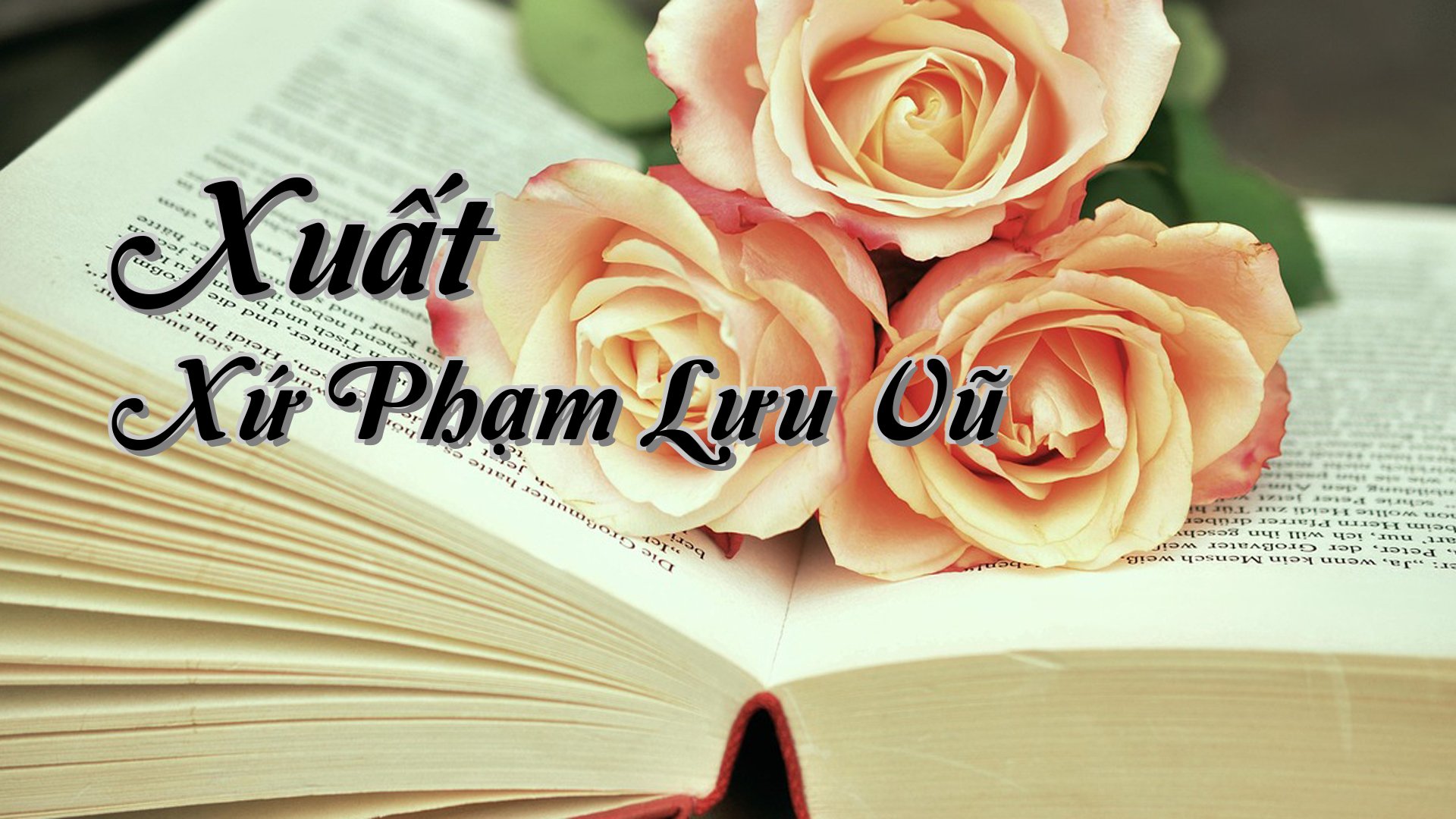 cover-Xuất Xứ Phạm Lưu Vũ