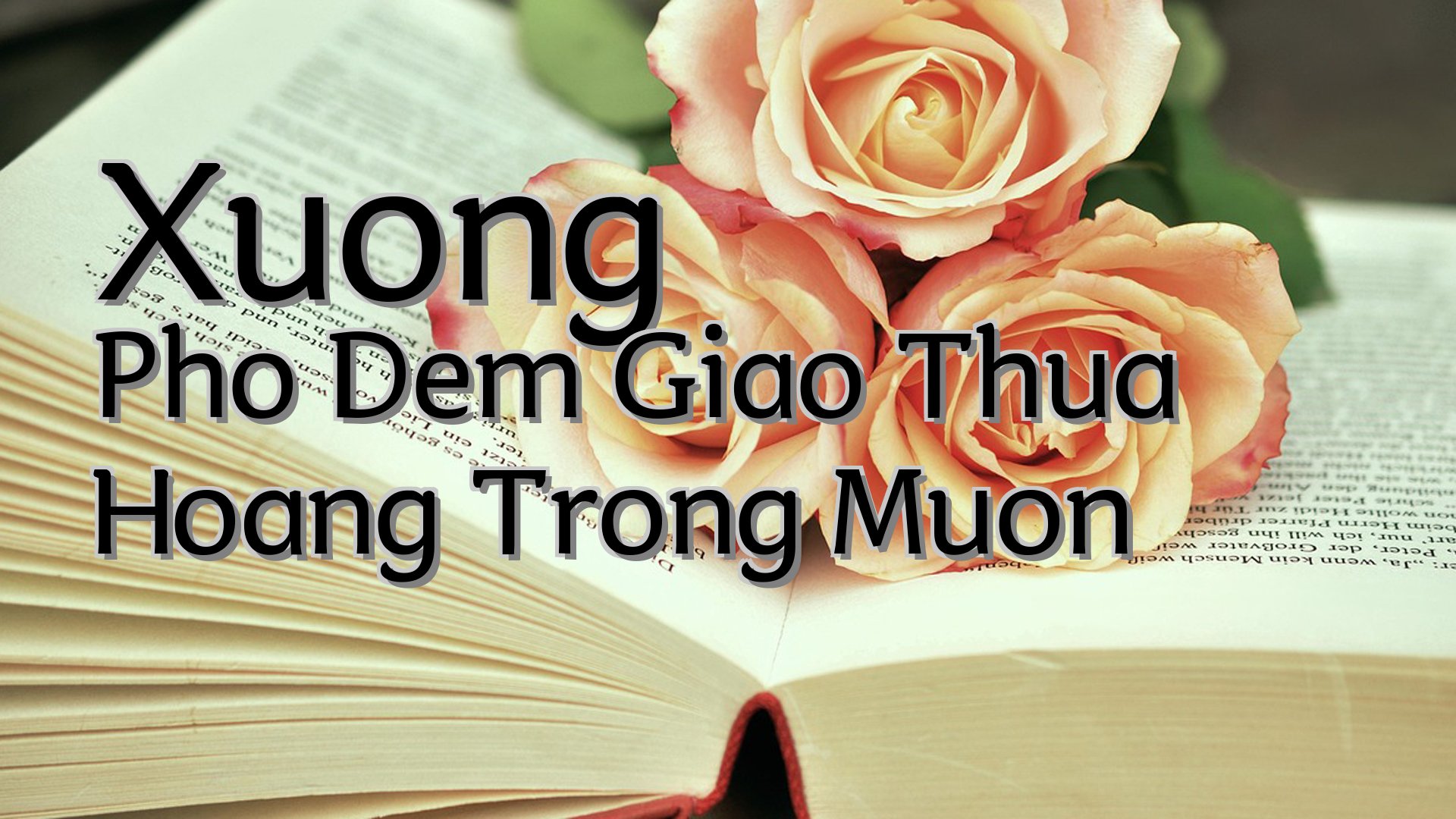 cover-Xuong Pho Dem Giao Thua Hoang Trong Muon