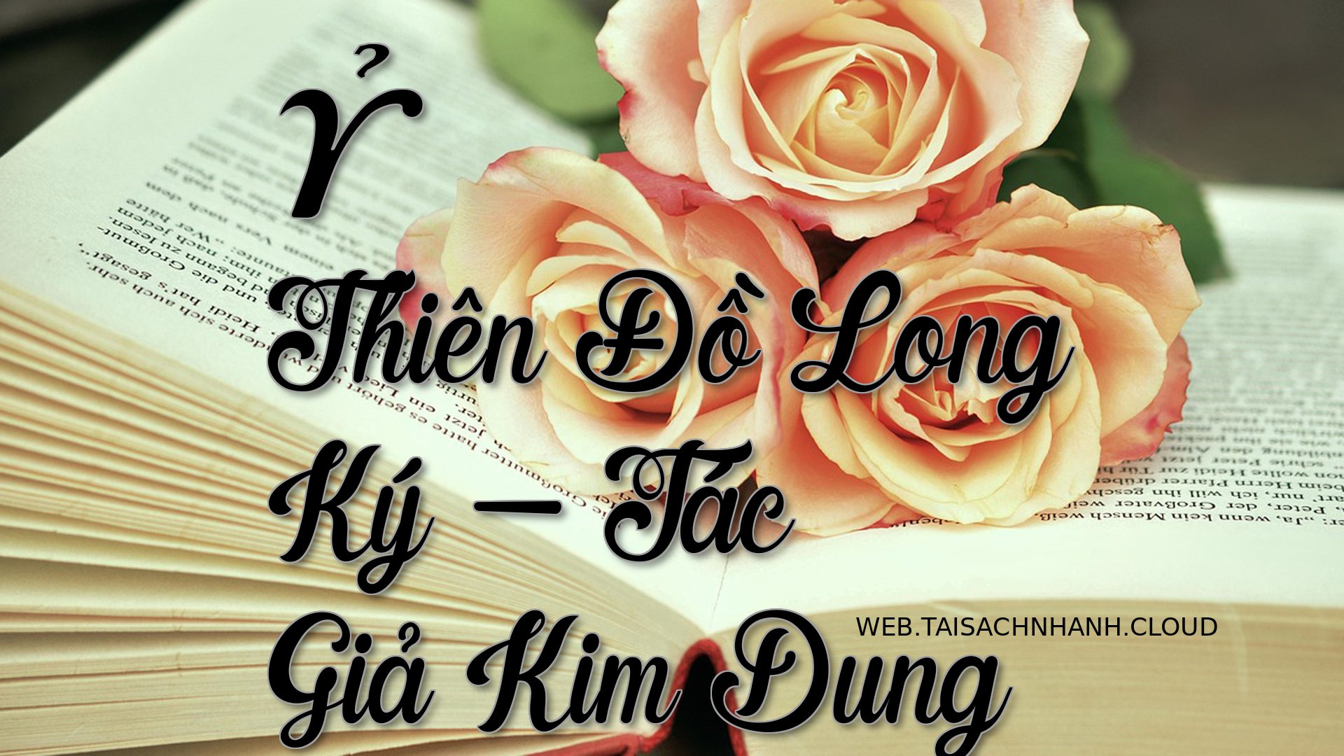 Cover Y Thien Do Long Ky.jpg