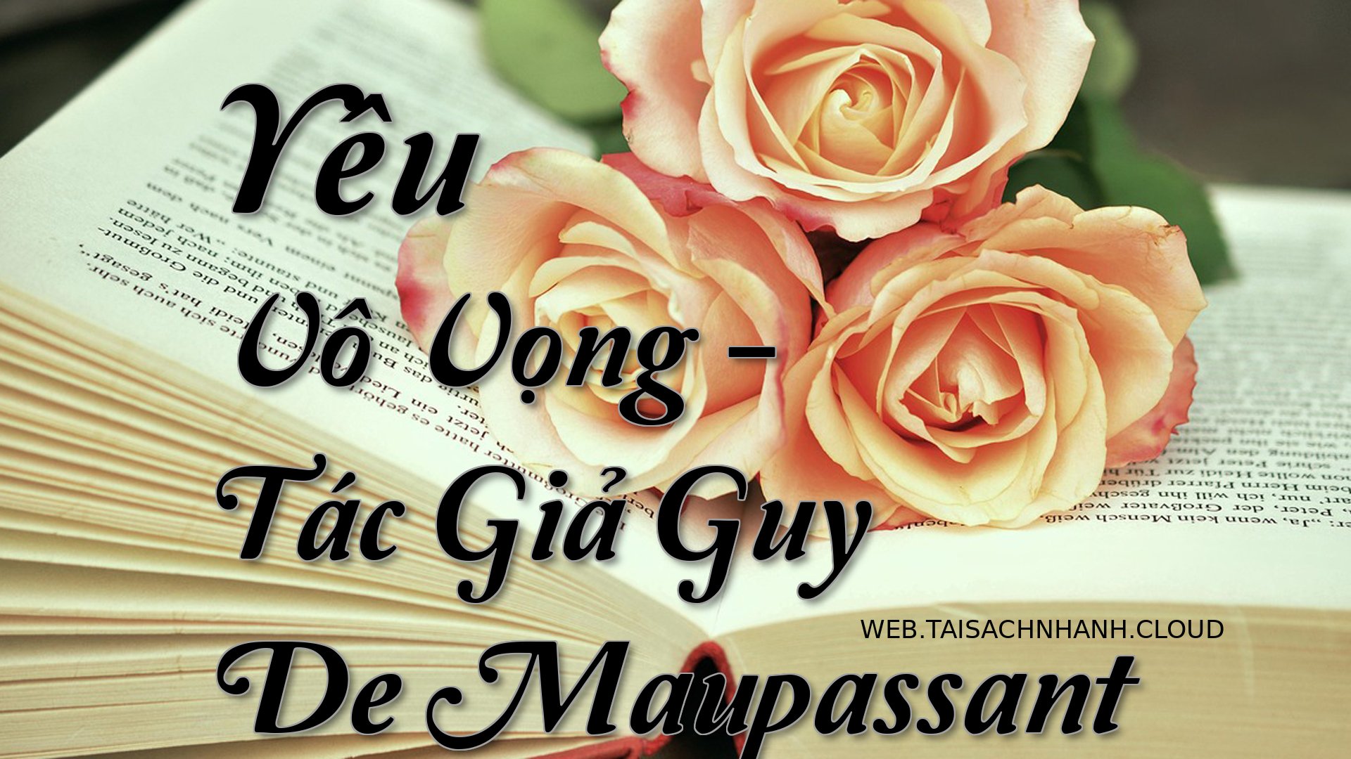 Cover Yeu Vo Vong.jpg