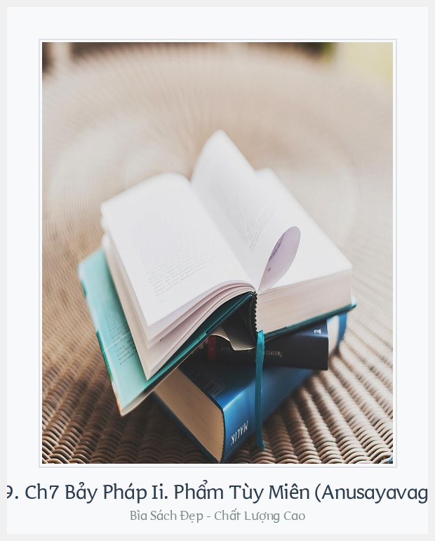 Bìa sách 129. Ch7 Bảy Pháp Ii. Phẩm Tùy Miên (Anusayavagga)