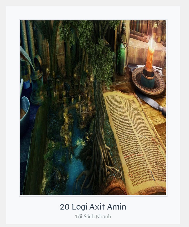 Bìa sách 20 Loại Axit Amin