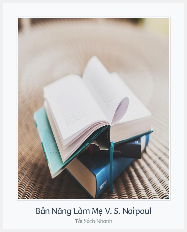 Bìa sách Bản Năng Làm Mẹ V. S. Naipaul