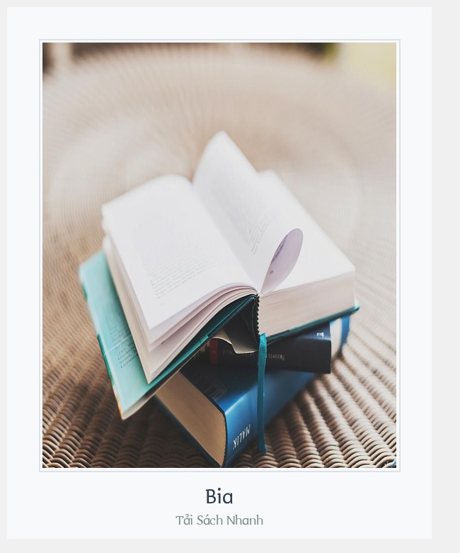 Bìa sách Bia