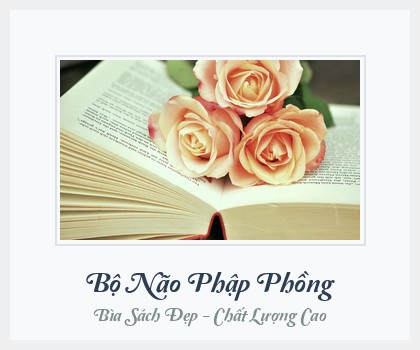 Bìa sách Bộ Não Phập Phồng