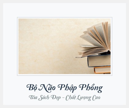 Bìa sách Bộ Não Phập Phồng