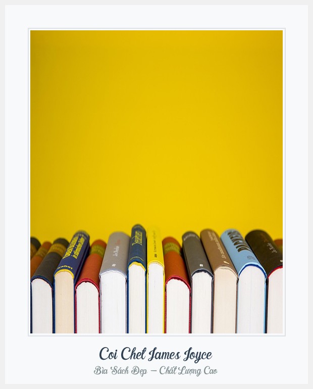 Bìa sách Coi Chet James Joyce