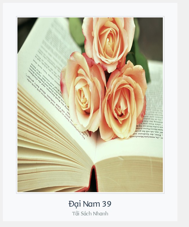 Bìa sách Đại Nam 39