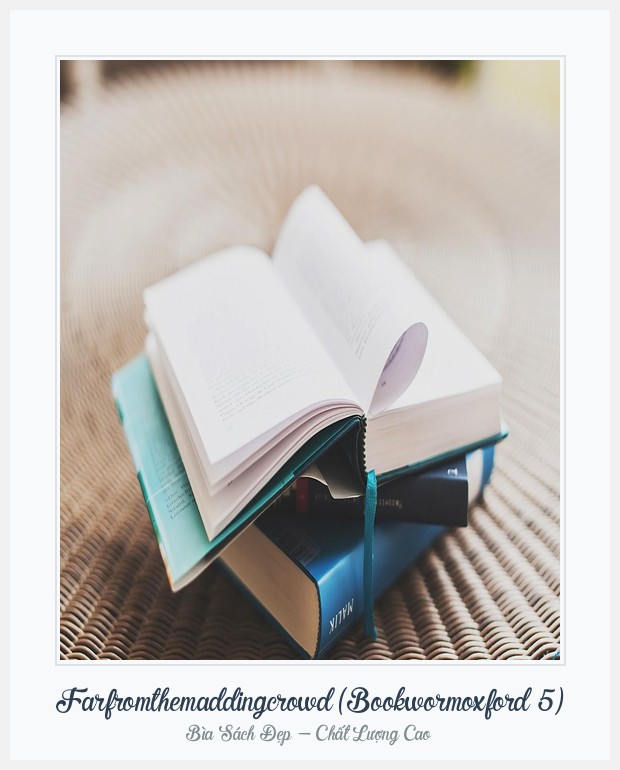 Bìa sách Farfromthemaddingcrowd (Bookwormoxford 5)