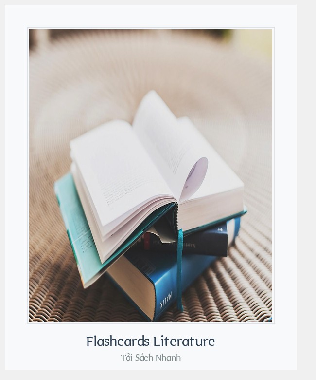 Bìa sách Flashcards Literature