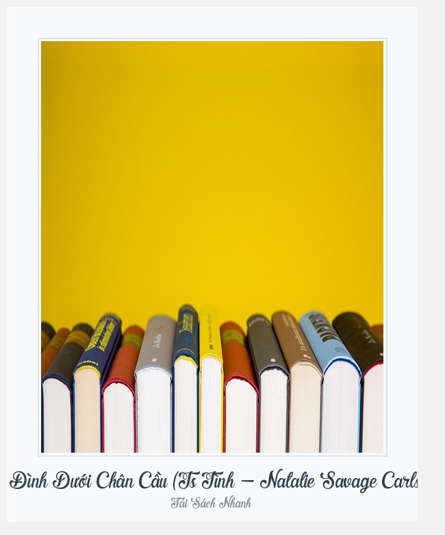 Bìa sách Gia Đình Dưới Chân Cầu (Ts Tình - Natalie Savage Carlson)