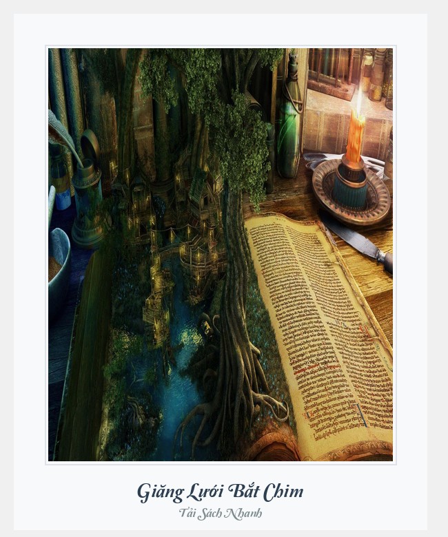 Bìa sách Giăng Lưới Bắt Chim