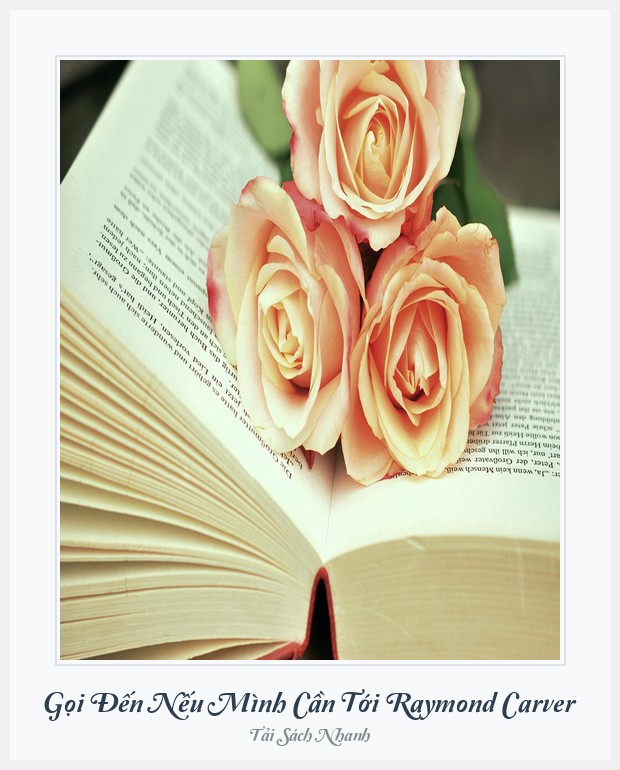 Bìa sách Gọi Đến Nếu Mình Cần Tới Raymond Carver