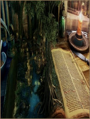 Gallery Hoa Hong Tren Cat Nhat Ha