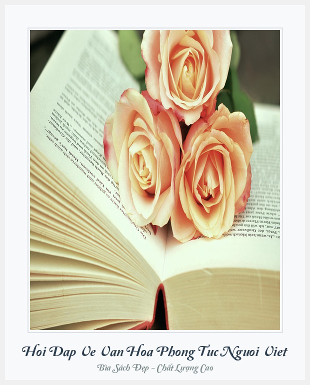 Bìa sách Hoi Dap Ve Van Hoa Phong Tuc Nguoi Viet