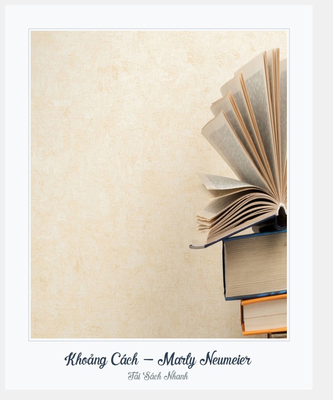 Bìa sách Khoảng Cách - Marty Neumeier