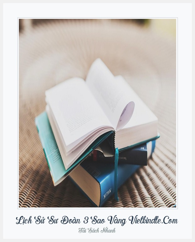 Bìa sách Lịch Sử Sư Đoàn 3 Sao Vàng Vietkindle.Com