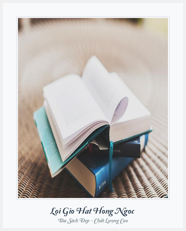 Bìa sách Loi Gio Hat Hong Ngoc