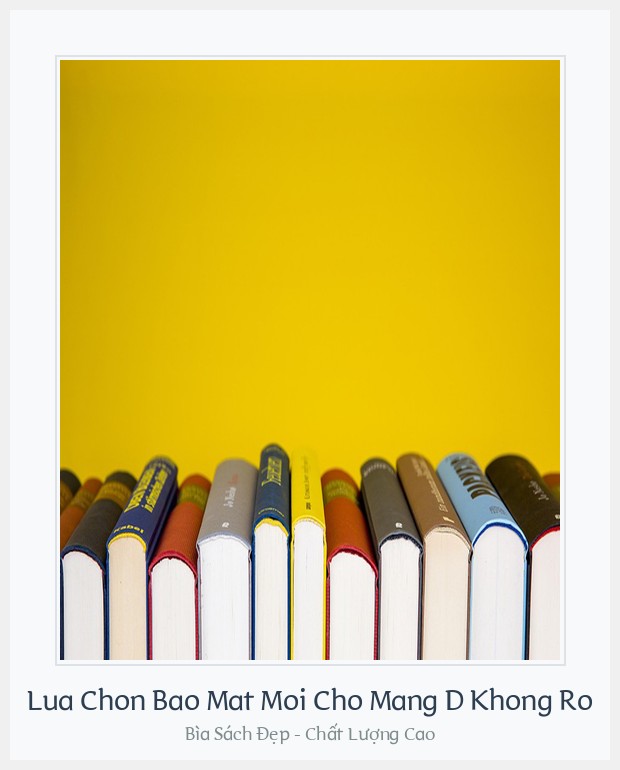 Bìa sách Lua Chon Bao Mat Moi Cho Mang D Khong Ro
