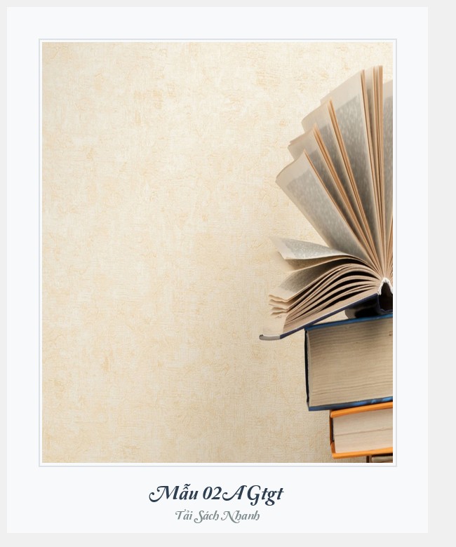 Bìa sách Mẫu 02A Gtgt