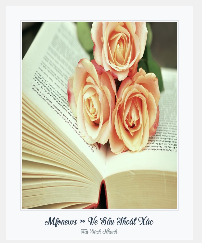 Bìa sách Mfonews » Ve Sầu Thoát Xác