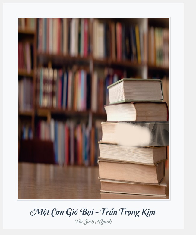 Bìa sách Một Cơn Gió Bụi - Trần Trọng Kim