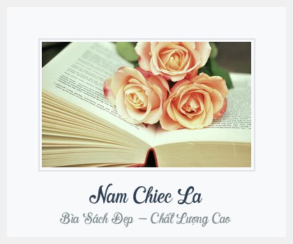 Bìa sách Nam Chiec La