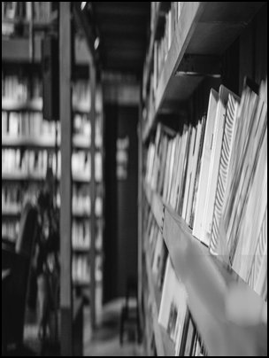 Gallery Nguoi Ma Toi Tim Kiem Khai Nguyen Ht