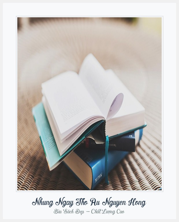 Bìa sách Nhung Ngay Tho Au Nguyen Hong