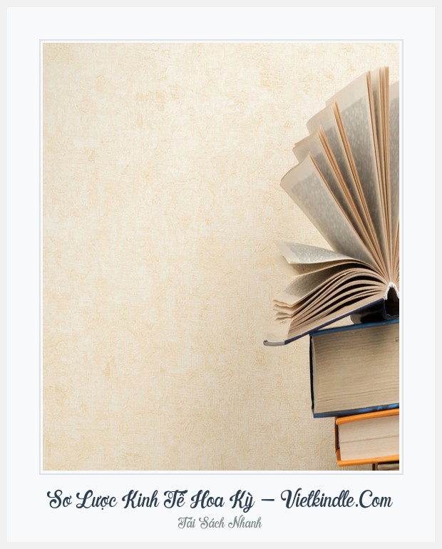 Bìa sách Sơ Lược Kinh Tế Hoa Kỳ - Vietkindle.Com