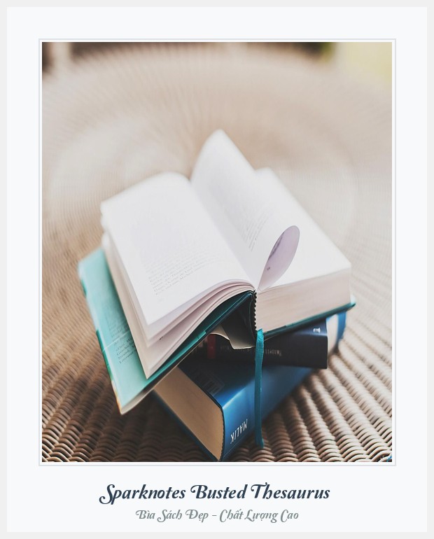 Bìa sách Sparknotes Busted Thesaurus