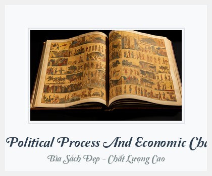Bìa sách The Political Process And Economic Change
