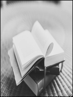 Gallery Thuong Nhau Ngay Mua Nhat Ha