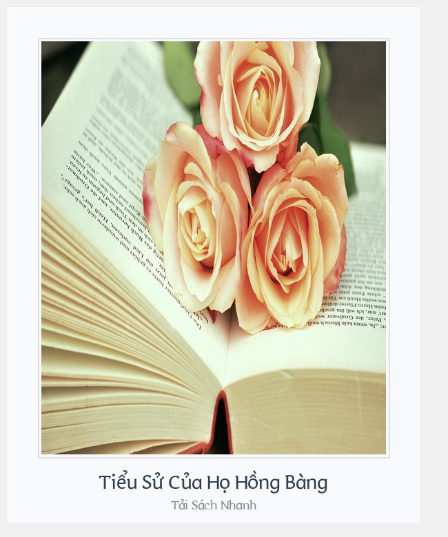 Bìa sách Tiểu Sử Của Họ Hồng Bàng