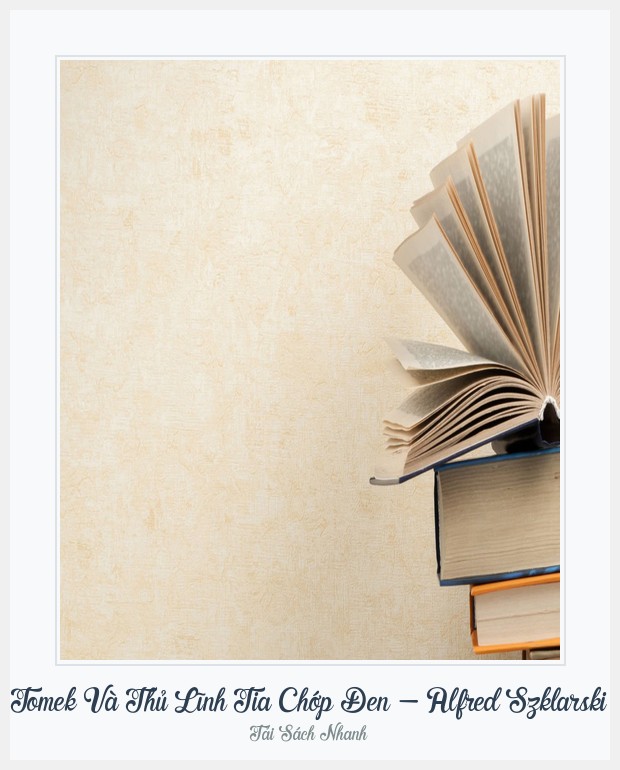 Bìa sách Tomek Và Thủ Lĩnh Tia Chớp Đen - Alfred Szklarski