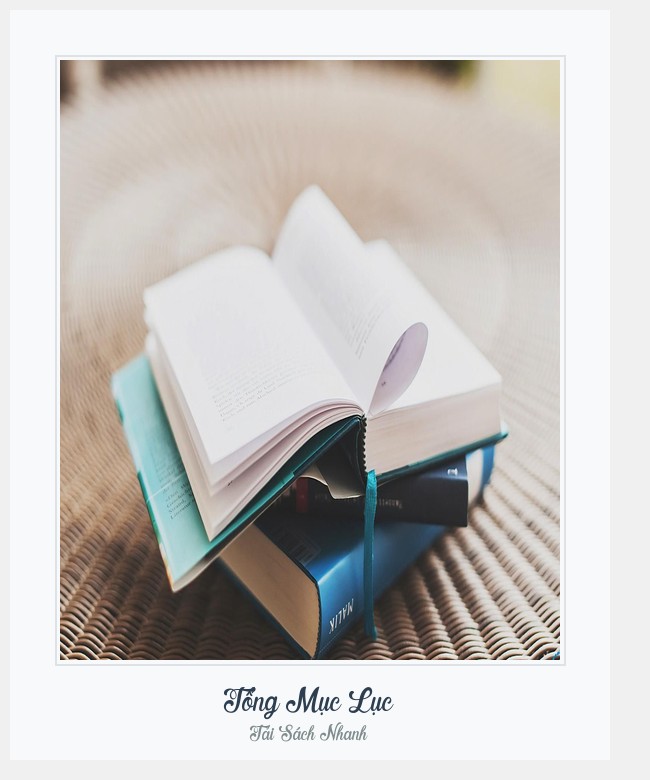 Bìa sách Tổng Mục Lục