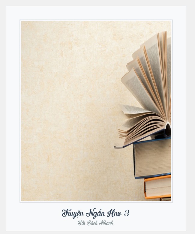 Bìa sách Truyện Ngắn Hnv 3