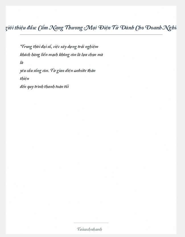 Trích đoạn Cẩm Nang Thương Mại Điện Tử Dành Cho Doanh Nghiệp 3