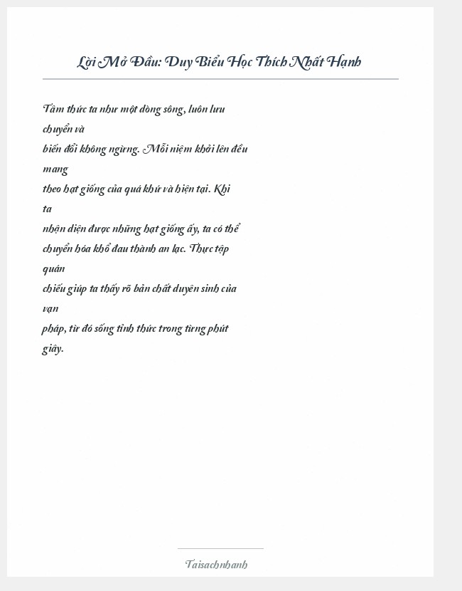 Trích đoạn Duy Biểu Học Thích Nhất Hạnh