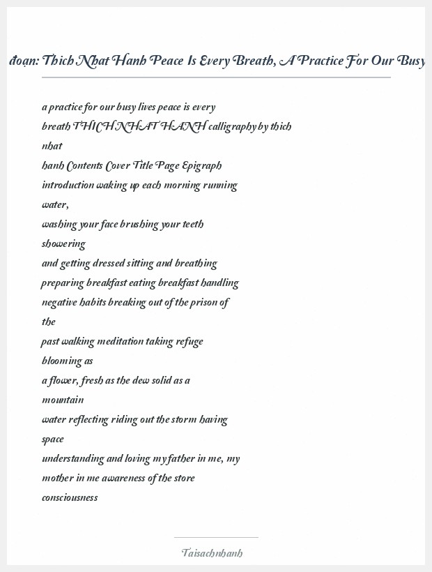 Trích đoạn Thich Nhat Hanh Peace Is Every Breath, A Practice For Our Busy Lives